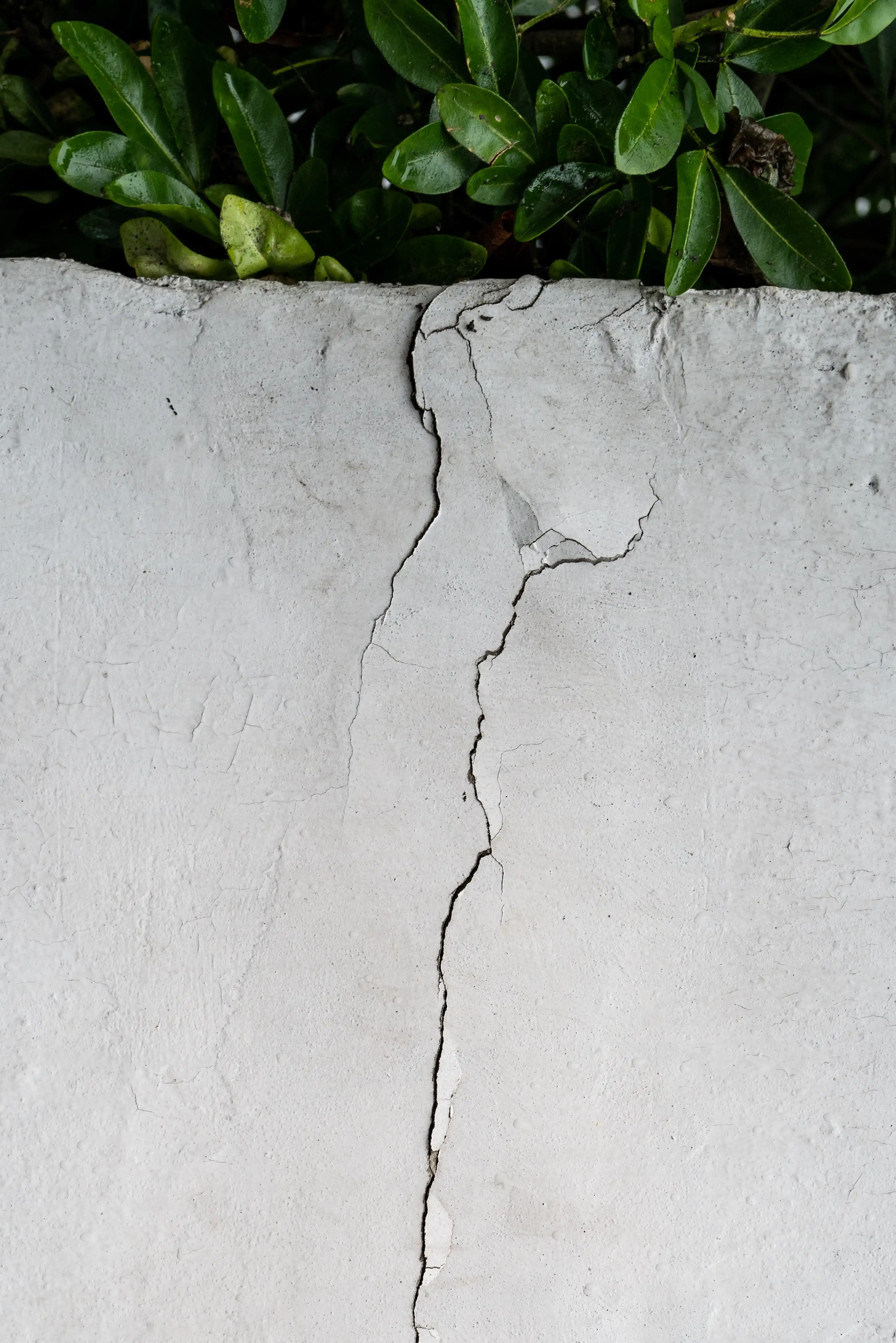 Cracksil 1 (Wall Crack) (2)